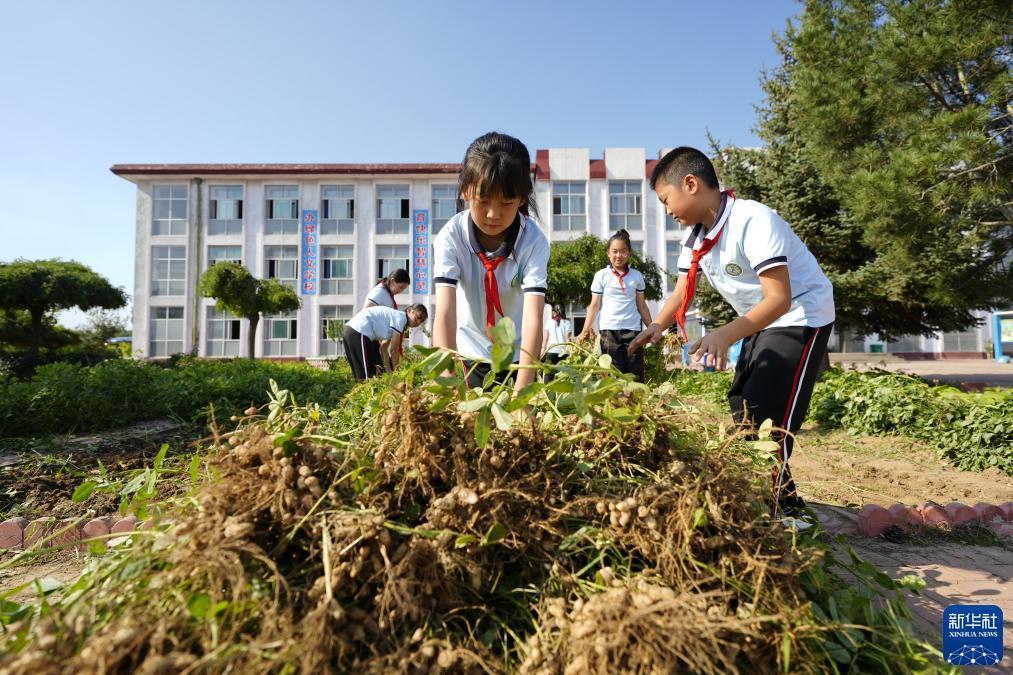 喜迎捕鱼游戏中心下载